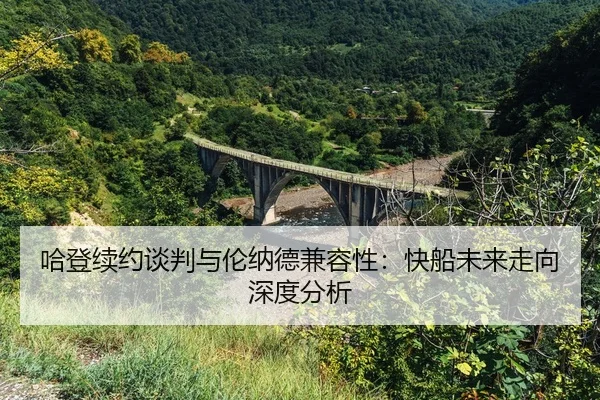 ha-deng-xu-yue-tan-pan-yu-lun-na-de-jian-rong-xing-kuai-chuan-wei-lai-zou-xiang-shen-du-fen-xi-2-838.jpg