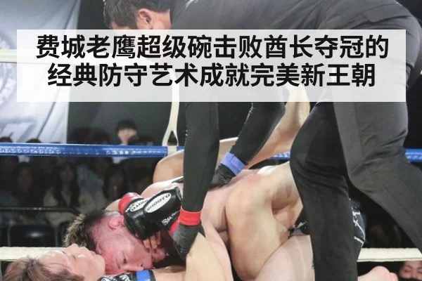 费城老鹰超级碗击败酋长夺冠的经典防守艺术成就完美新王朝